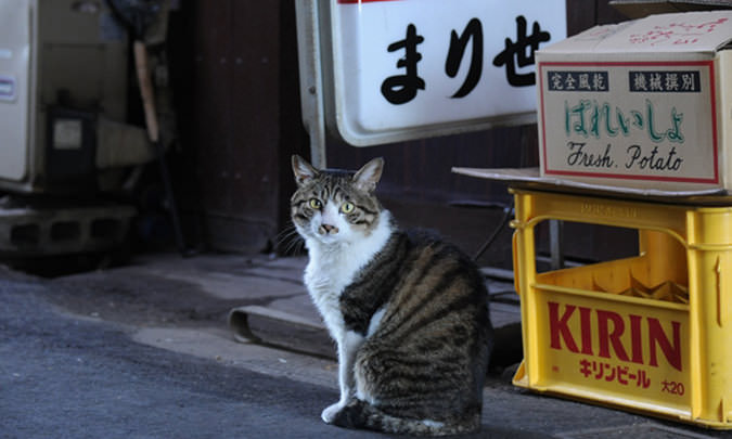 今川小路